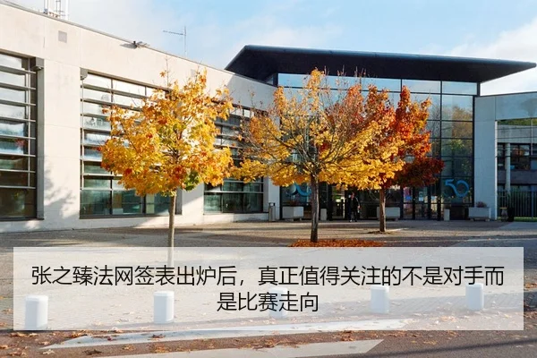 张之臻法网签表出炉后，真正值得关注的不是对手而是比赛走向